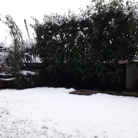 מלון רוברטו Casa Del Noce מראה חיצוני תמונה
